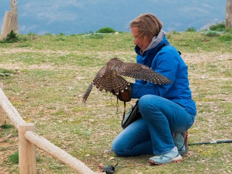 Stania Kuspertova, falconry.