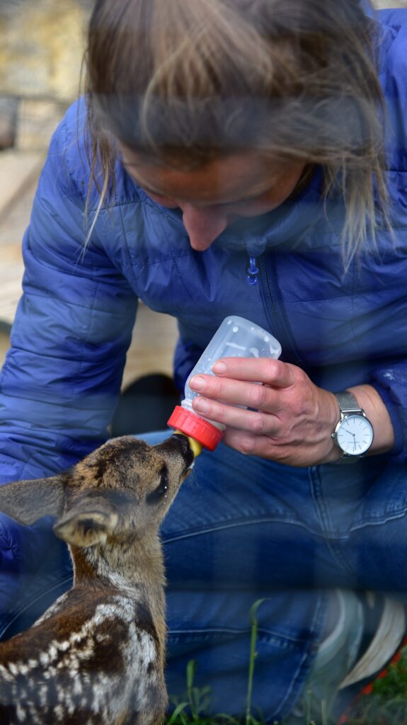 Stania Kuspertova madre adoptiva de crías de animales.