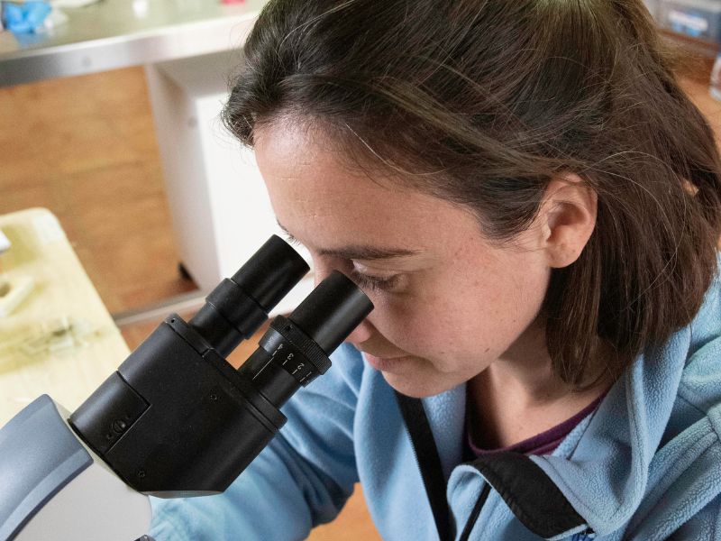 Laia Sanchez Golobart amb un microscopi