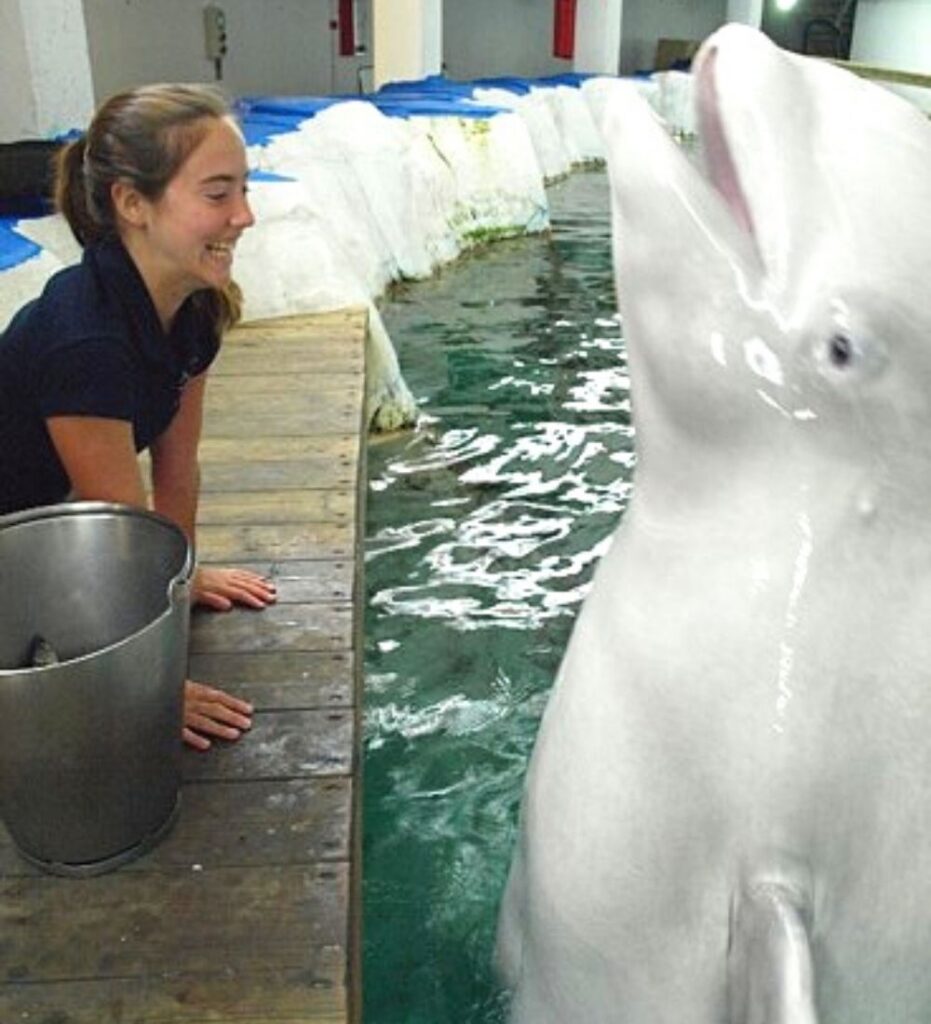 Laia Sanchez Golobart with a dolphin