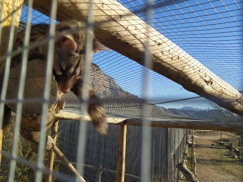 Genet Helen in her provisional space.