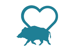 Sponsor the wild boar icon